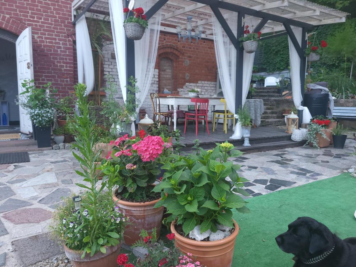 Krzywa Apartamenty Lidzbark Warmiński Εξωτερικό φωτογραφία
